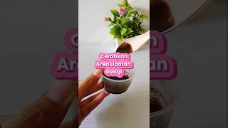 Cerahkan area lipatan gelap kopi tips tipscantikalami shortvideo shorts short [upl. by Ahsienar718]