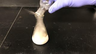 Grignard Reaction Experiment Part 3 Reaction with CO2 Workup and Characterization [upl. by Ardelle38]