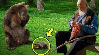 Injured Mama Bear Brought Her Dying Cub To This Man Then He Did Something Unbelievable [upl. by Annalise886]