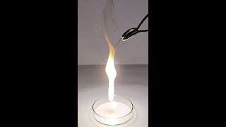 Magnesium ribbon burning  Reaction of Metal with Oxygen [upl. by Acinej848]