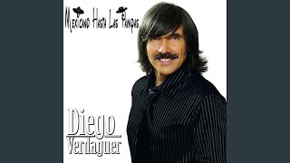 USTED QUE HARÍA  DIEGO VERDAGUER  1984 REMASTERIZADO [upl. by Yrollam]