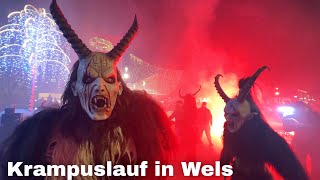 Krampuslauf in Wels 2023 🇦🇹 Wels Austria [upl. by Nosnaj]