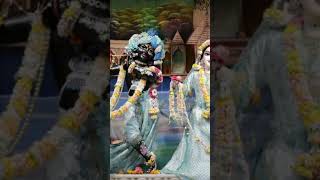 radh radhe radhe barsane wali radhe like and subscribe viral video shorts 🙏🙏🙏 [upl. by Powell440]