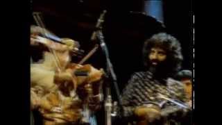 Stéphane Grappelli and David Grisman  Sweet Georgia Brown San Francisco 1982 official HQ video [upl. by Tova699]