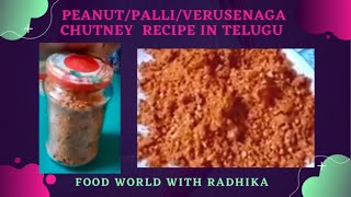 Peanut  palli  verusenaga chutney in telugu [upl. by Assirek]