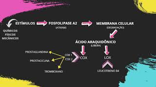 VideBula CASCATA DA INFLAMAÇÃO  VÍDEO 1 [upl. by Karyl]