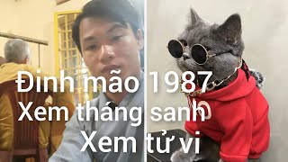 xem tháng sanh tuổi đinh mão 1987 xemtuvihieutubi3546 [upl. by Figueroa]