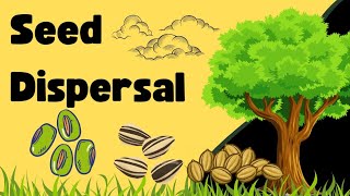 Seed Dispersal Explained for Kids  Wind Water amp Animal Seed Dispersal Learning Lounge209 [upl. by Erdried]