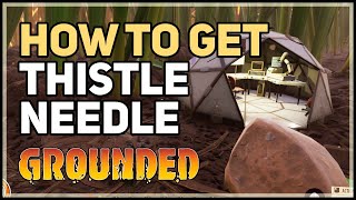 How to get Thistle Needle Grounded [upl. by Isborne]