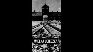 shorts Ucieczka 50 więźniów Auschwitz Birkenau [upl. by Christianson845]