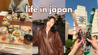 OSAKA DIARIES  ryokan usj super nintendo world saying goodbye to a loved one [upl. by Arual]