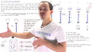 Ion Exchange Chromatography [upl. by Neile]