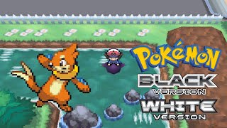 How to get Buizel in Pokemon Black amp White [upl. by Garbers]