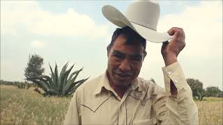 DEL MAGUEY AL PULQUE  Video Documental México [upl. by Naltiak]