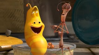 LARVA  STICK INSECT  Cartoons For Children  LARVA Full Episodes  Cartoons For Children [upl. by Yahc799]