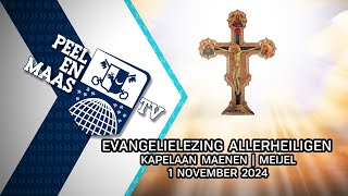 Evangelielezing Allerheiligen kapelaan Maenen  Meijel  1 november 2024  Peel en Maas TV Venray [upl. by Bain692]