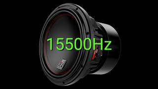 Tone frequency 15500Hz Test your hearing speakersheadphonessubwoofer [upl. by Akapol]