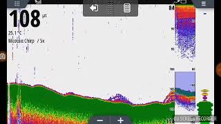 SIMRAD GO9 XSE TM185M [upl. by Naiva192]