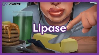 Lipase Mnemonic for MCAT [upl. by Ilat152]