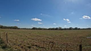 Florida Cracker Trail Ride Crossing Scenic Florida Pasture Land 02192024 [upl. by Yattirb]