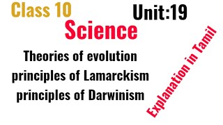 claas10Unit19 Theories of Evolution principles of Lamarckism Darwinism Explanation in Tamil [upl. by Snook573]