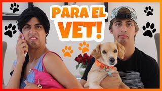 Daniel El Travieso  Llevamos A Simba Al Veterinario [upl. by Hgielime122]