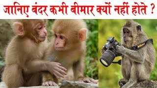 Rajiv Dixit  डॉक्टरो ने बंदर को बीमार करने के लिए 15 साल लगा दिए लेकिन नहीं हुआ [upl. by Telfer713]