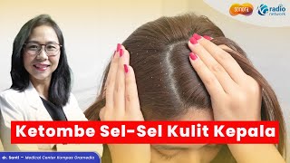 Penyebab dan JenisJenis Ketombe Rambut  Health Corner [upl. by Aiepoissac562]