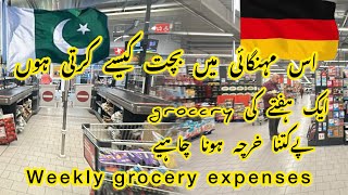 My Grocery Shopping In Germany 🇩🇪  Weekly Grocery Expenses In Germany [upl. by Eniamart]