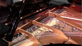 John Cage  Sonata V from Sonatas and Interludes  Inara Ferreira prepared piano [upl. by Idnar509]