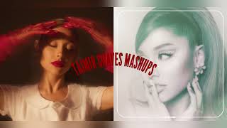 End Of The Safety Net  Ariana Grande amp Ty Dolla ign Mashup [upl. by Anade]