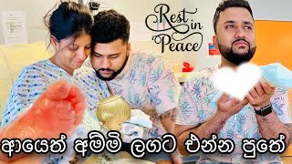 සති 21න් ඉපදුනු මගේ පුතාලා👼ආයෙත් අම්මි ලගට එන්න පුතේ🫀 Birth story🥹 anneyelina birth missyou [upl. by Noremmac]