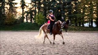 Reiten Oktober 2013 [upl. by Laehctim]