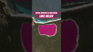 Unbelievable places in Australia Lake Hillier australia  travel nature beach [upl. by Nylicaj74]