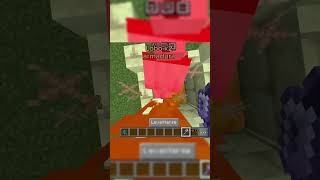 Que mobs resisten la maza 12 minecraft [upl. by Tennaj172]