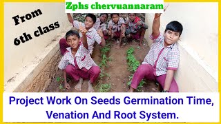 Seeds Germination Time Venation And Root System [upl. by Aralc]