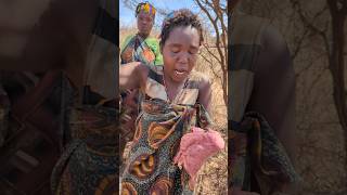 Bushmen hadzabe womens prepare foods for families [upl. by Dotty]