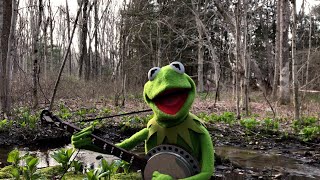 A Special Performance of quotRainbow Connectionquot from Kermit the Frog  The Muppets [upl. by Yffat]