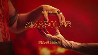 Amapolas  Leo Rizzi MIAAN Remix [upl. by Yatnuahs]