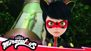 MIRACULOUS  🐞 NEUGESTALTUNG – Der finale Tag Teil 2  Akumatisierung 🐾  STAFFEL 5 FOLGE 26 [upl. by Yelbmik]