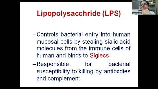 Antigenic structures amp Biochemical test of N gonorrhoeae [upl. by Nerret]