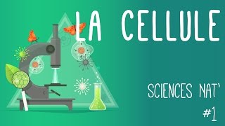 Tout savoir sur la cellule en 6 minutes [upl. by Leroj]