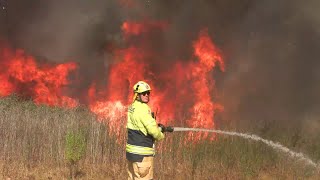 10th Alarm Rapid moving Grass Fire  Ingleburn NSW RAW FOOTAGE [upl. by Vetter]