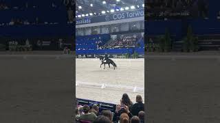 Cavaliada ujeżdżenie  Warszawa 2024 cavaliada horse equestrian dressage 🐎 [upl. by Kev254]