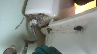 TOILET LEAKING ROTTED OLD PARTS NEEDS REPLACING [upl. by Ajile239]