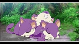 Rattata Pokemon number 19 in Pokedex AMV [upl. by Auqinihs76]