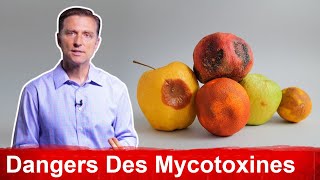 Les Mycotoxines Symptômes Causes Et Remèdes l Dr Eric Berg [upl. by Vina537]