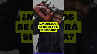 Morelos se quedara sin COCA [upl. by Daniels]