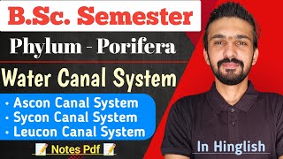 Canal System In Porifera  Ascon  Sycon  Leucon  Bsc Semester  By Dadhich Sir [upl. by Eikcin401]