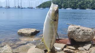 Chaguaramas Boardwalk  Crews Inn  Chaguaramas Fishing [upl. by Rees]